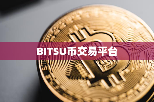 BITSU币交易平台第1张-币资讯