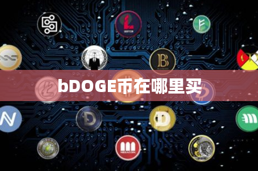 bDOGE币在哪里买第1张-币资讯