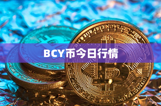 BCY币今日行情第1张-币资讯