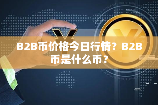 B2B币价格今日行情？B2B币是什么币？第1张-币资讯