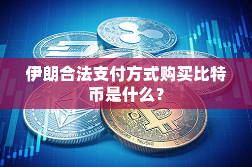 伊朗合法支付方式购买比特币是什么？第1张-币资讯