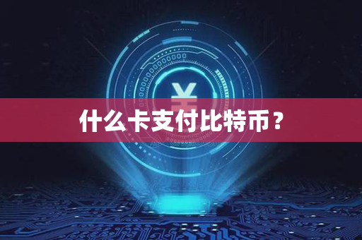 什么卡支付比特币？